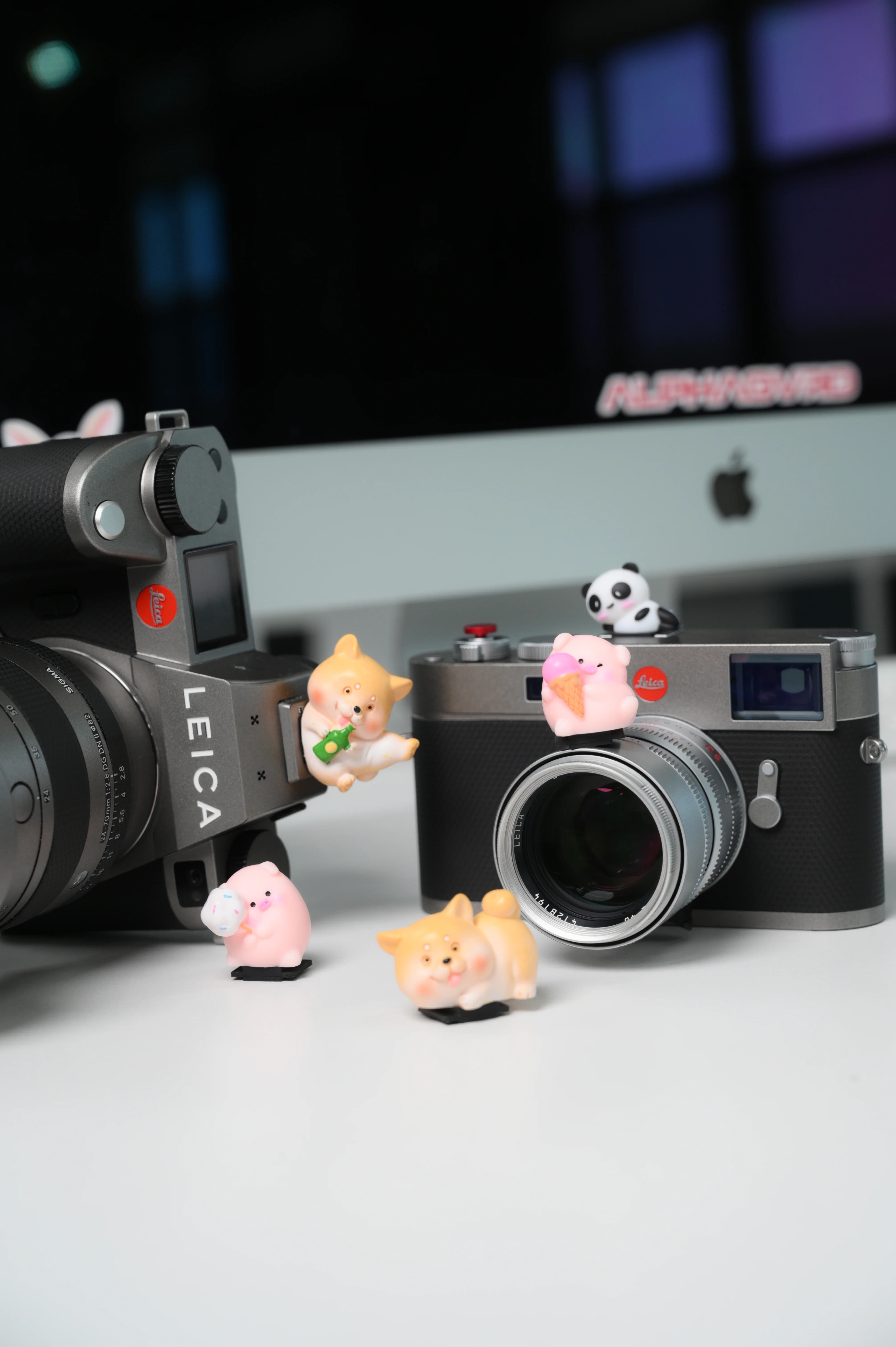 Hot Shoe Buddies Corgi Panda and Pigs Collectables - Image 4
