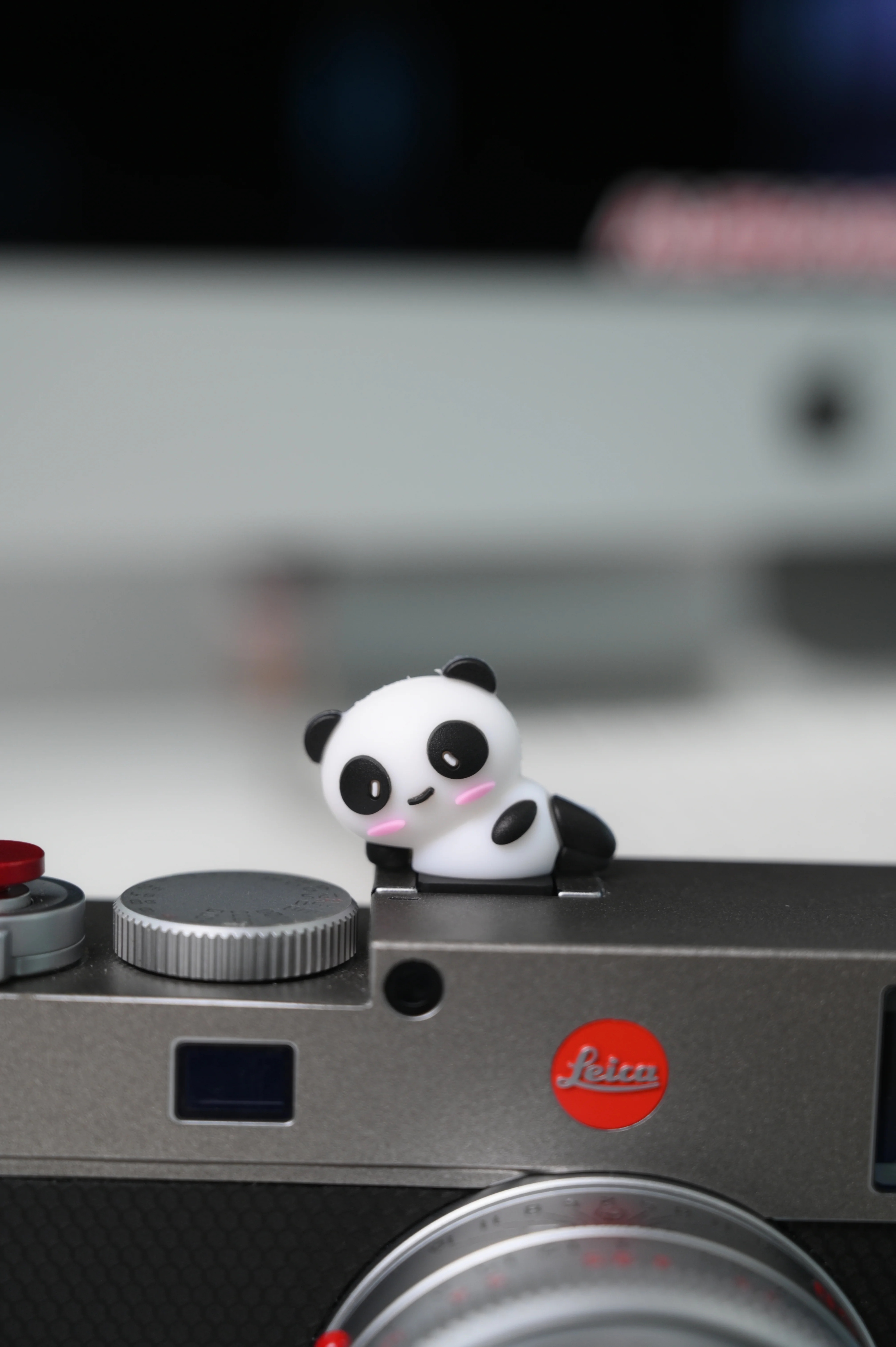 Hot Shoe Buddies Corgi Panda and Pigs Collectables - Image 7