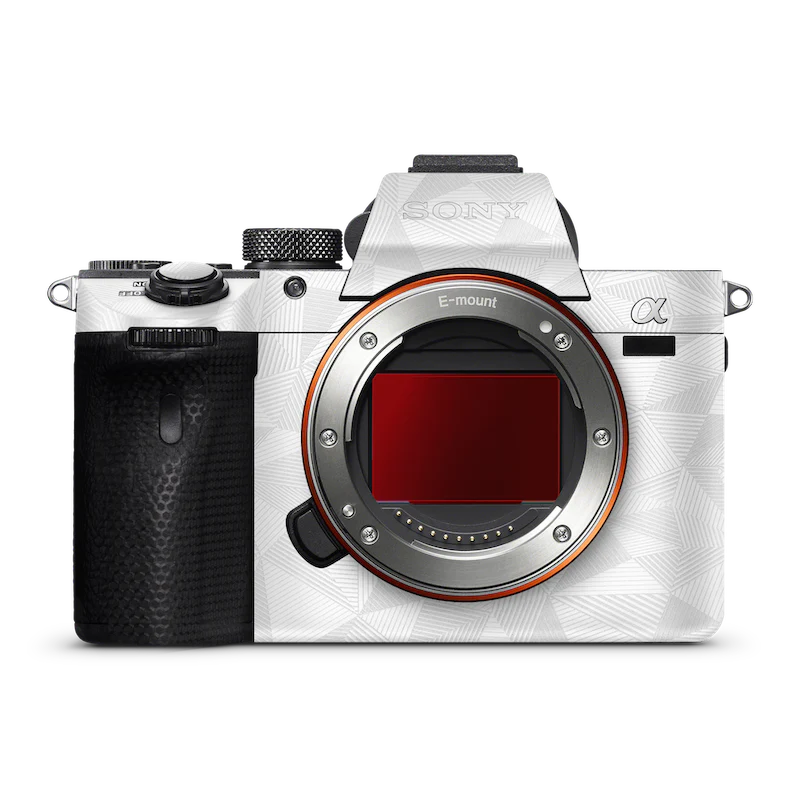 LEICA M-P (TYP 240) Camera Skin - Image 19