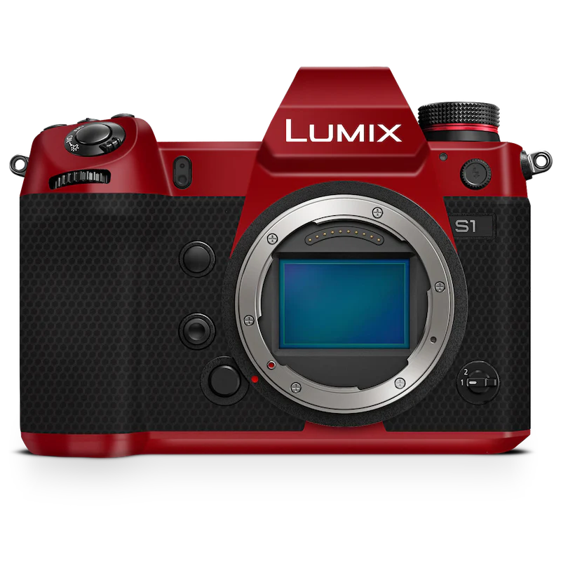 Panasonic LUMIX DC-S9 Camera Skin - Image 33