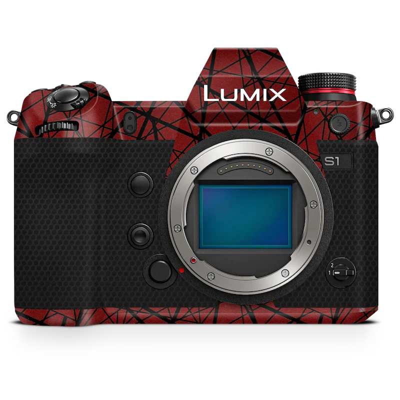 Panasonic LUMIX DC-S9 Camera Skin - Image 40